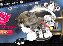 kittensgame安卓版kittensgame网页版存档