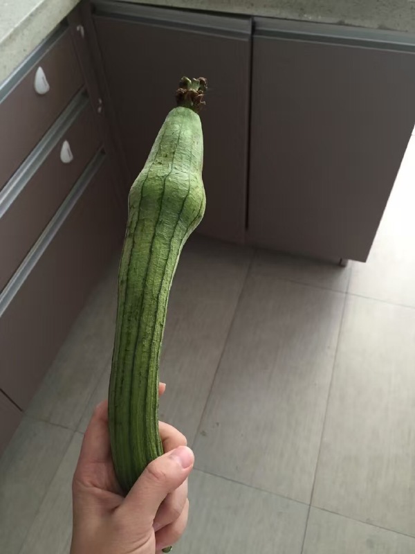 草榴手机版快结草作手机版官方